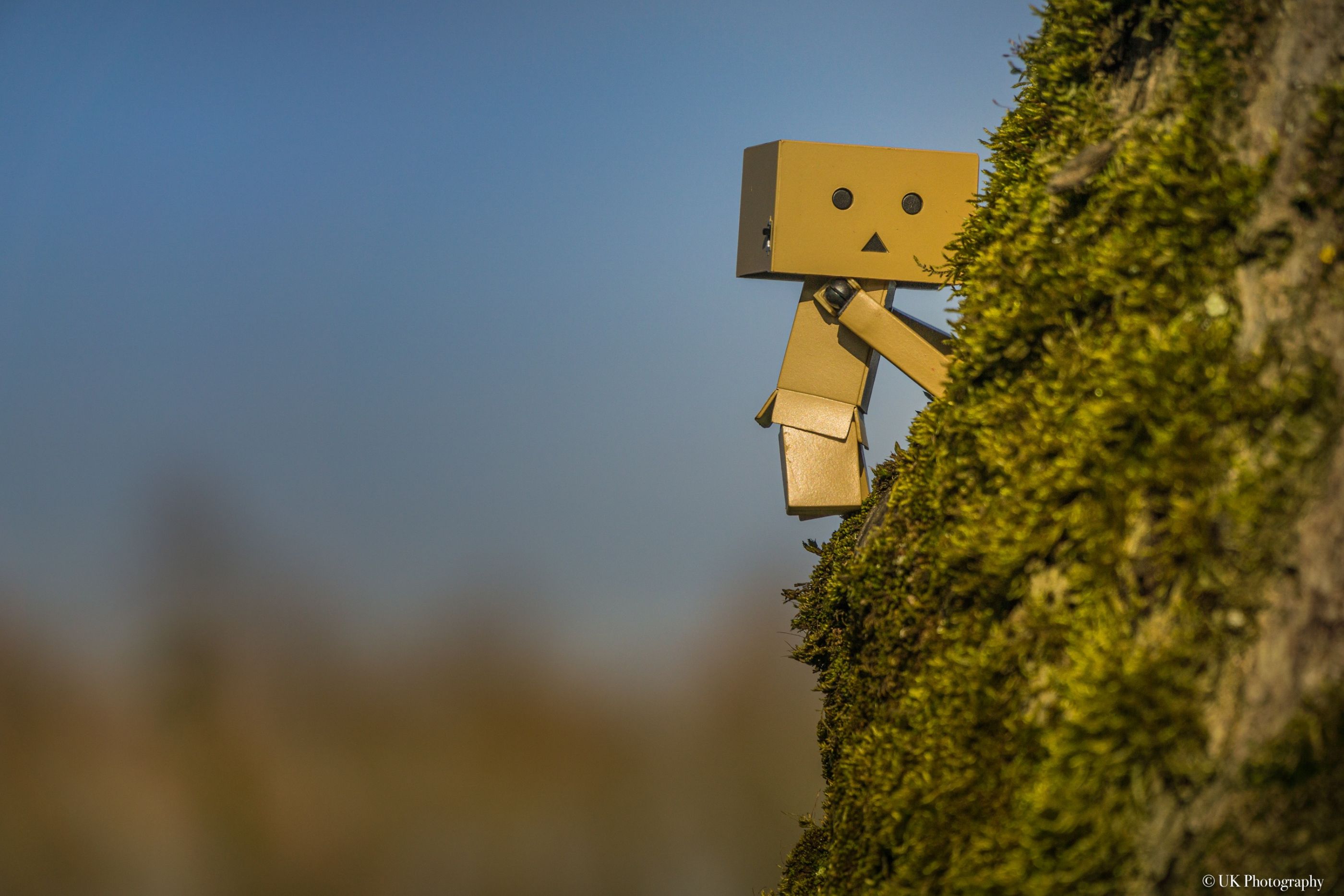 Danbo will hoch hinaus